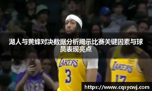 湖人与黄蜂对决数据分析揭示比赛关键因素与球员表现亮点