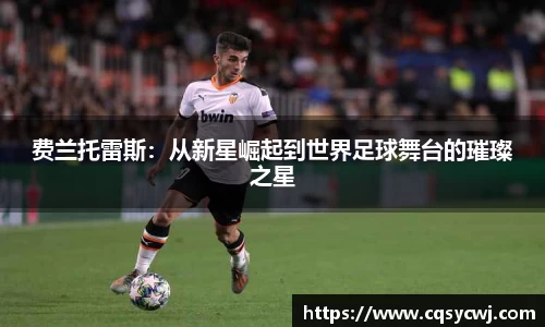 费兰托雷斯：从新星崛起到世界足球舞台的璀璨之星