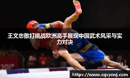 王文忠散打挑战欧洲高手展现中国武术风采与实力对决