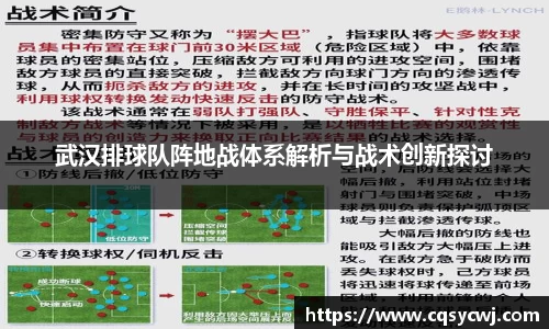 武汉排球队阵地战体系解析与战术创新探讨