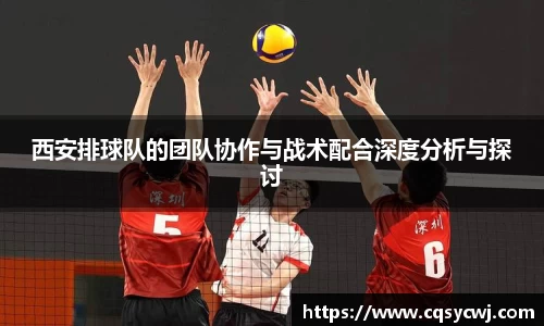 西安排球队的团队协作与战术配合深度分析与探讨